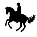 Dressage, the rider, black isolated silhouette Royalty Free Stock Photo